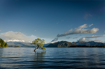 A tree stands out of a flooded river. There are hills in the background and blue skies with clouds.