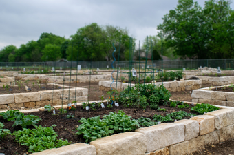 Heritage Community Garden raised beds